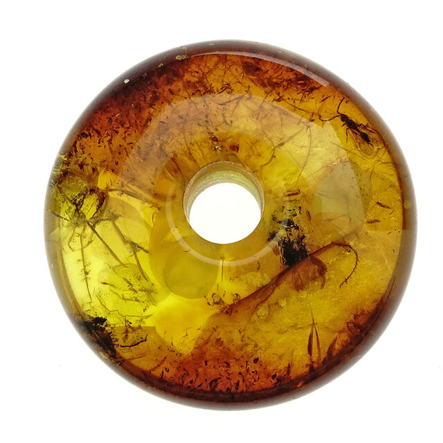 Baltic amber donut pendant with embedded wasp