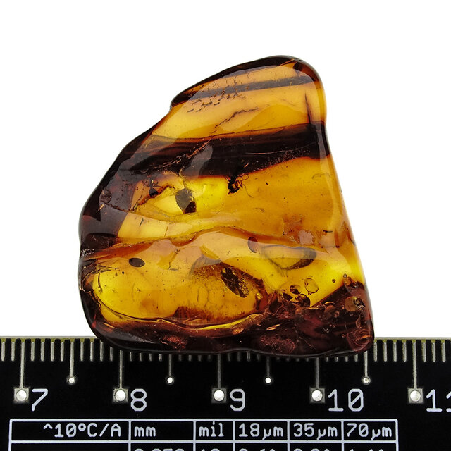 Baltischer Bernstein mit  eingeschlossenem Mücke