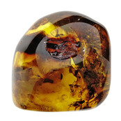 Baltic amber with natural hole, various wasps and mosquito