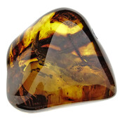 Baltic amber with natural hole, various wasps and mosquito