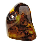 Baltic amber with natural hole, various wasps and mosquito
