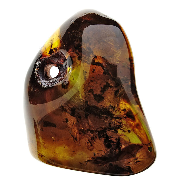 Baltic amber with natural hole, various wasps and mosquito