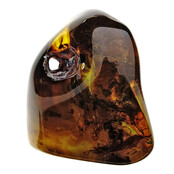 Baltic amber with natural hole, various wasps and mosquito