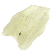 Libyan glass or gold tektite
