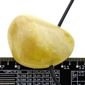 Golden healer, the powerful healer from Madagascar