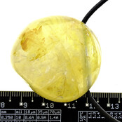 Golden healer, de krachtige genezer uit Madagaskar