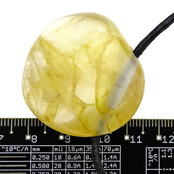 Golden healer, de krachtige genezer uit Madagaskar