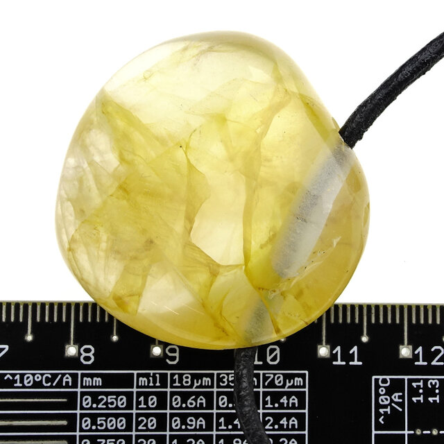 Golden healer, de krachtige genezer uit Madagaskar