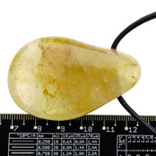 Golden healer, the powerful healer from Madagascar