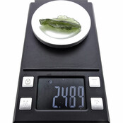 Moldavite from Czech Republic