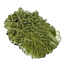 Moldavite from Czech Republic