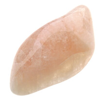 Mooie getrommelde morganiet