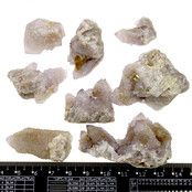 Cactus or spirit quartz with amethyst