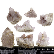 Cactus or spirit quartz with amethyst