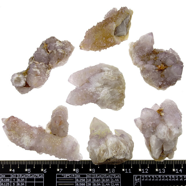 Kaktus oder Spirituosenquarz mit Amethyst