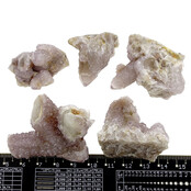 Kaktus oder Spirituosenquarz mit Amethyst