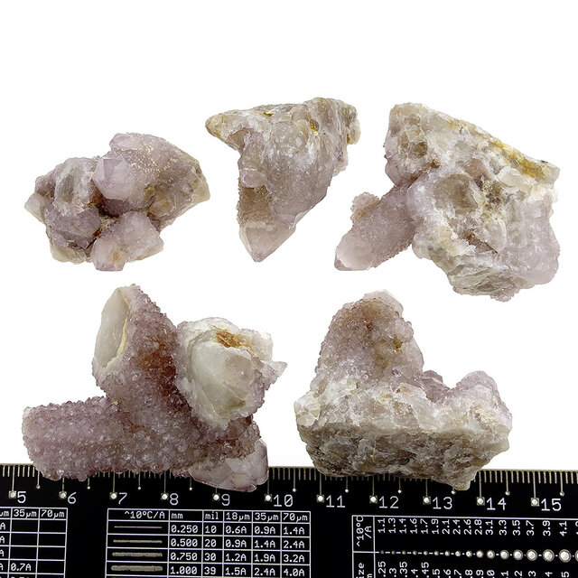 Kaktus oder Spirituosenquarz mit Amethyst