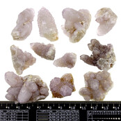 Kaktus oder Spirituosenquarz mit Amethyst