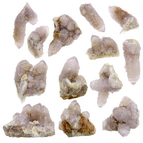 Cactuskwarts 13 stukjes