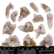 Kaktus oder Spirituosenquarz mit Amethyst