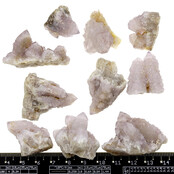 Cactus or spirit quartz with amethyst