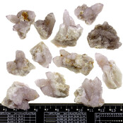 Kaktus oder Spirituosenquarz mit Amethyst