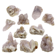 Cactuskwarts 10 stukjes