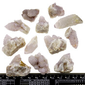 Kaktus oder Spirituosenquarz mit Amethyst