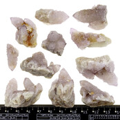 Cactus or spirit quartz with amethyst