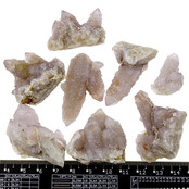 Kaktus oder Spirituosenquarz mit Amethyst