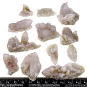 Kaktus oder Spirituosenquarz mit Amethyst