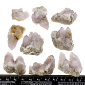 Kaktus oder Spirituosenquarz mit Amethyst