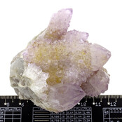 Cactus or spirit quartz with amethyst
