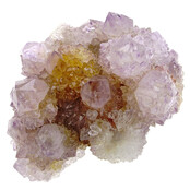 Kaktus oder Spirituosenquarz mit Amethyst