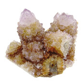 Kaktus oder Spirituosenquarz mit Amethyst