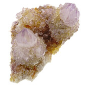 Kaktus oder Spirituosenquarz mit Amethyst