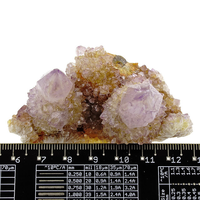 Kaktus oder Spirituosenquarz mit Amethyst