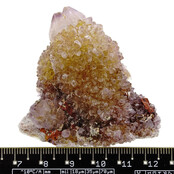 Cactus or spirit quartz with amethyst