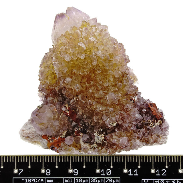 Kaktus oder Spirituosenquarz mit Amethyst