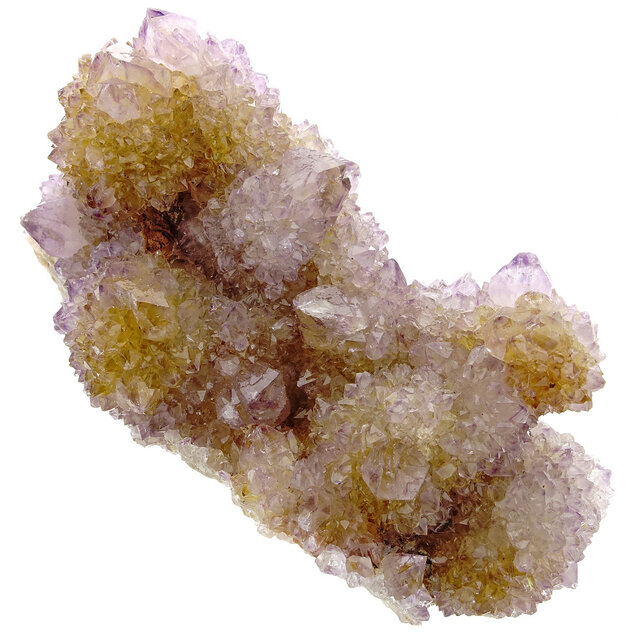 Kaktus oder Spirituosenquarz mit Amethyst