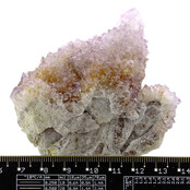 Cactus or spirit quartz with amethyst