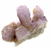 Kaktus oder Spirituosenquarz mit Amethyst