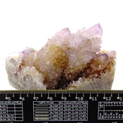 Kaktus oder Spirituosenquarz mit Amethyst