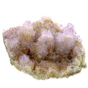 Kaktus oder Spirituosenquarz mit Amethyst