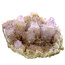 Kaktus oder Spirituosenquarz mit Amethyst