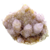 Kaktus oder Spirituosenquarz mit Amethyst