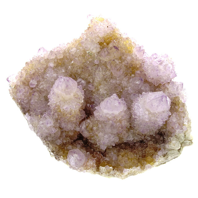Kaktus oder Spirituosenquarz mit Amethyst
