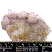 Cactus or spirit quartz with amethyst
