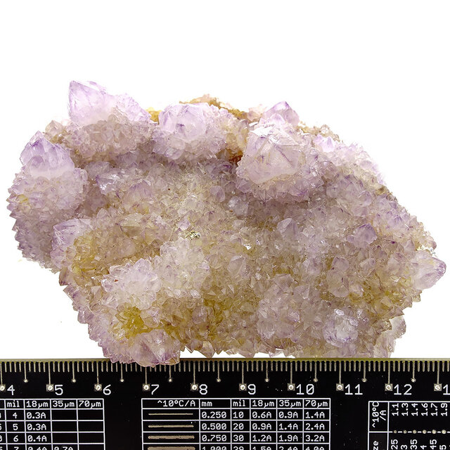 Kaktus oder Spirituosenquarz mit Amethyst