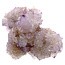 Cactus or spirit quartz with amethyst